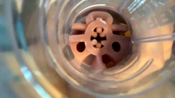 Jkrubs665  04-09-2021 video gape